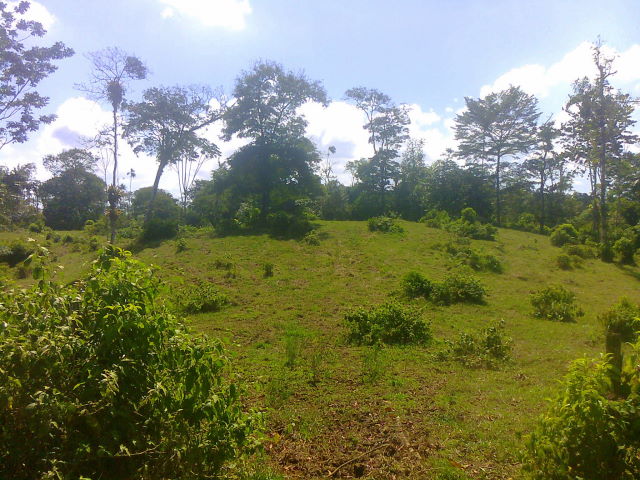 Hermosa Finca De 77.500m2 A �950xm2 ($2 Xm2)