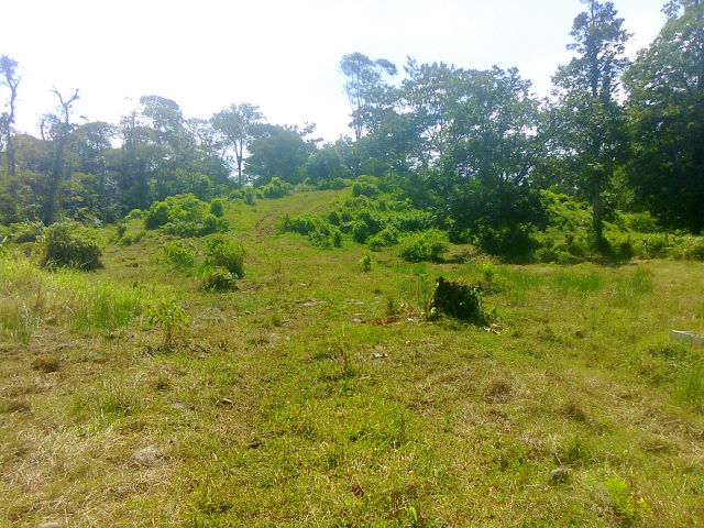 14306finca2.JPG