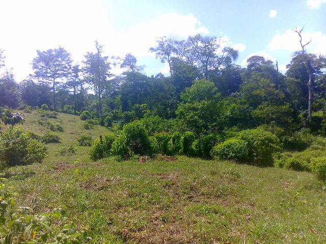 14306finca4.JPG