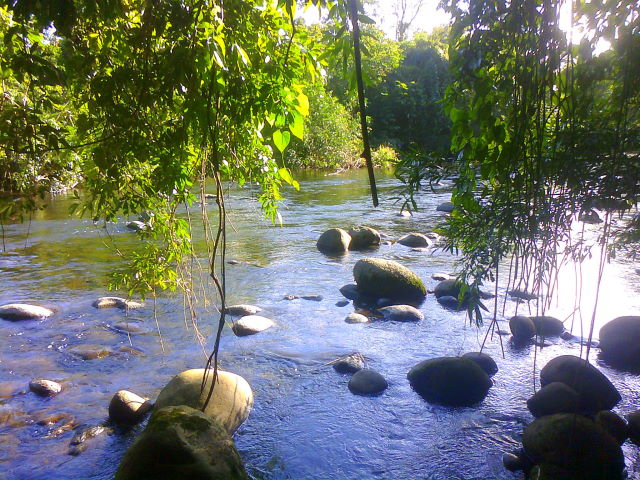 14306finca6.JPG