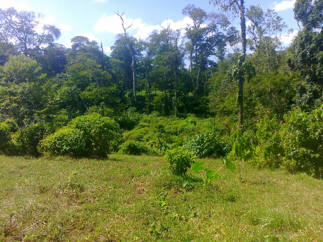14306finca7.JPG