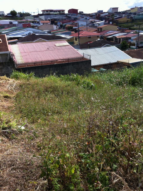 Lote en el Carmen de Guadalupe