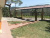 14366palmares8.JPG