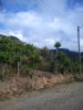 14384propiedaenventa2.JPG