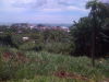 Lote en Limon Centro Cerro Mocho