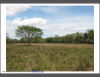 3 lotes para quintas en Belen Guanacaste