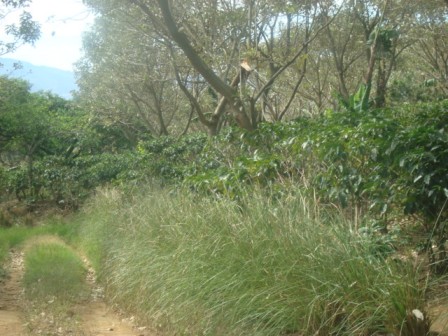Bonita finca en venta con dos nacientes de agua- vocaci�n agr�cola