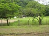 3750lotesennicoya10.JPG