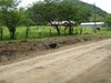 3750lotesennicoya11.JPG