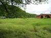 3750lotesennicoya12.JPG