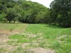3750lotesennicoya3.JPG