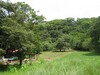 3750lotesennicoya7.JPG