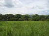 3750lotesennicoya8.JPG