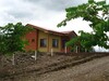 Nuevo  proyecto de Quintas  con casa en - Gu�cimo