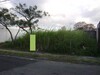 SE VENDE LOTE EN TIBAS
