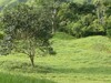 8329propiedadenventa2
