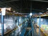 9504bodegaensantaana11
