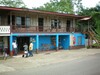 Cariariguapiles1.JPG