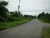 Cariariguapiles5.JPG
