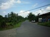 Cariariguapiles8.JPG