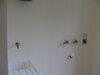 DSC02214.JPG