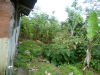 P1000193.JPG