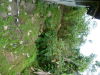 P1000194.JPG