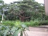 casabrasildemoracod1002209