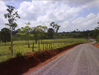cod10048finca77Ha1.PNG