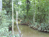 cod10048finca77Ha2.PNG