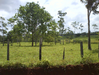 cod10048finca77Ha3.PNG