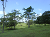 cod10048finca77Ha4.PNG
