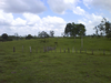 cod10048finca77Ha6.PNG
