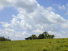 cod10048finca77Ha7.PNG