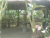 cod3741016