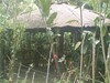 cod374112
