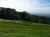 LOTES EN VENTA EN NARANJO en Lourdes