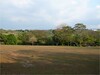 FINCA EN VENTA EN LA GARITA